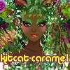 kitcat-caramel