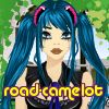 road-camelot