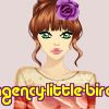 agency-little-bird