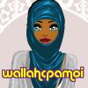 wallahcpamoi