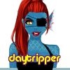 daytripper