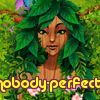 nobody-perfect
