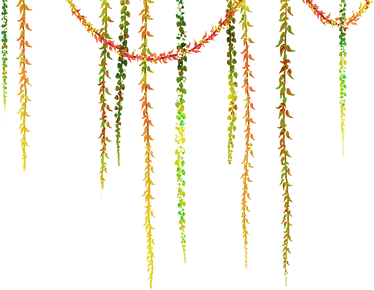 http://www.ohmydollz.com/img/big/119845.png