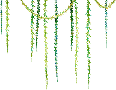 http://www.ohmydollz.com/img/big/119847.png