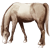 http://www.ohmydollz.com/img/thumb/60431.png