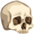 http://www.ohmydollz.com/img/thumb/69998.png