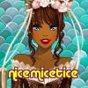 nicemicetice