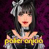 palier-anicia