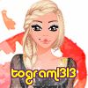 togram1313