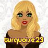 turquoise23