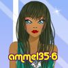 ammel35-6