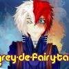 grey-de-fairy-tail
