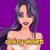 daisy-violet