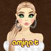 amina-t