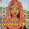 carambar2310