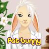 fat-bunny