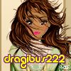 dragibus222