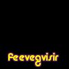 feevegvisir