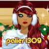 palier-1309