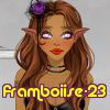 framboiise-23