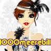 1000meerebill