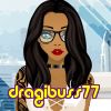 dragibuss77