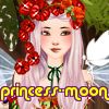 princess--moon