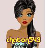 chaton543