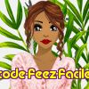 code-feez-facile